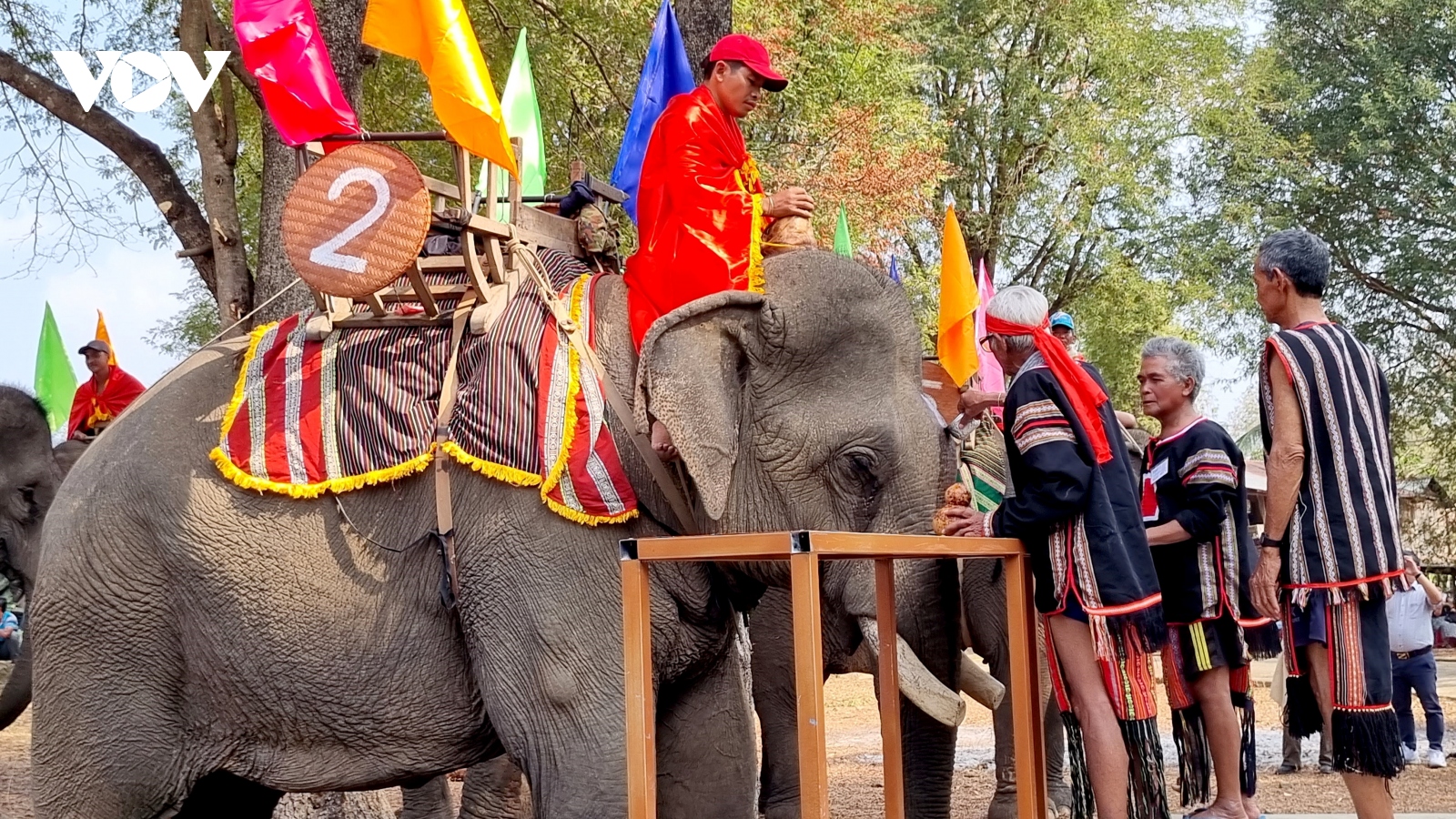 Hiểu thêm về lễ cúng sức khỏe cho voi ở Đắk Lắk