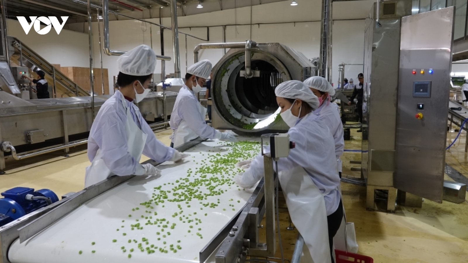 Trung tâm chế biến rau quả Doveco Sơn La sẵn sàng đi vào hoạt động