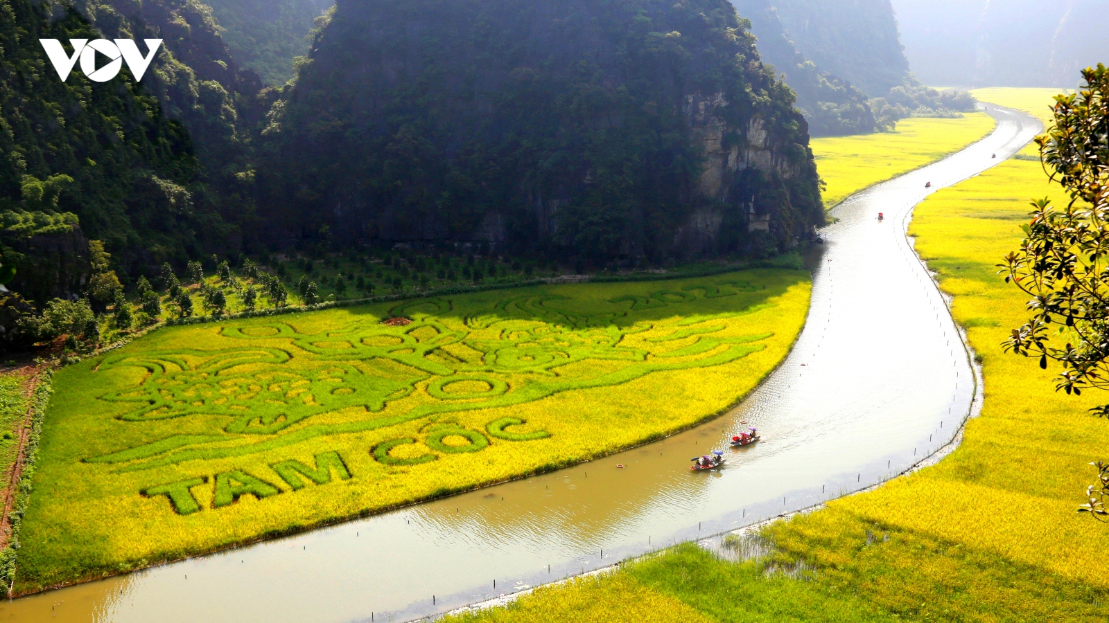 Ninh Bình kín phòng trong tuần du lịch "Sắc vàng Tam Cốc - Tràng An"