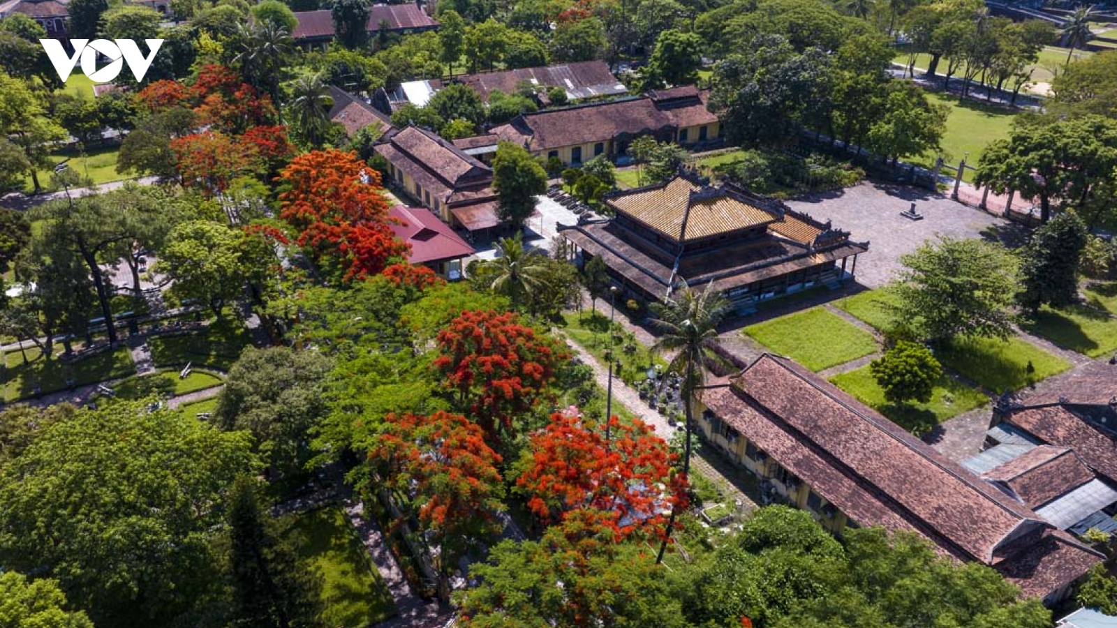 Tháng 5 Huế rực rỡ màu hoa phượng đỏ