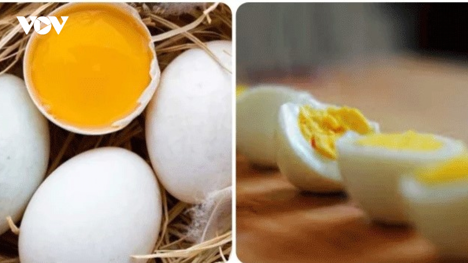Trứng vịt ăn sống được không?