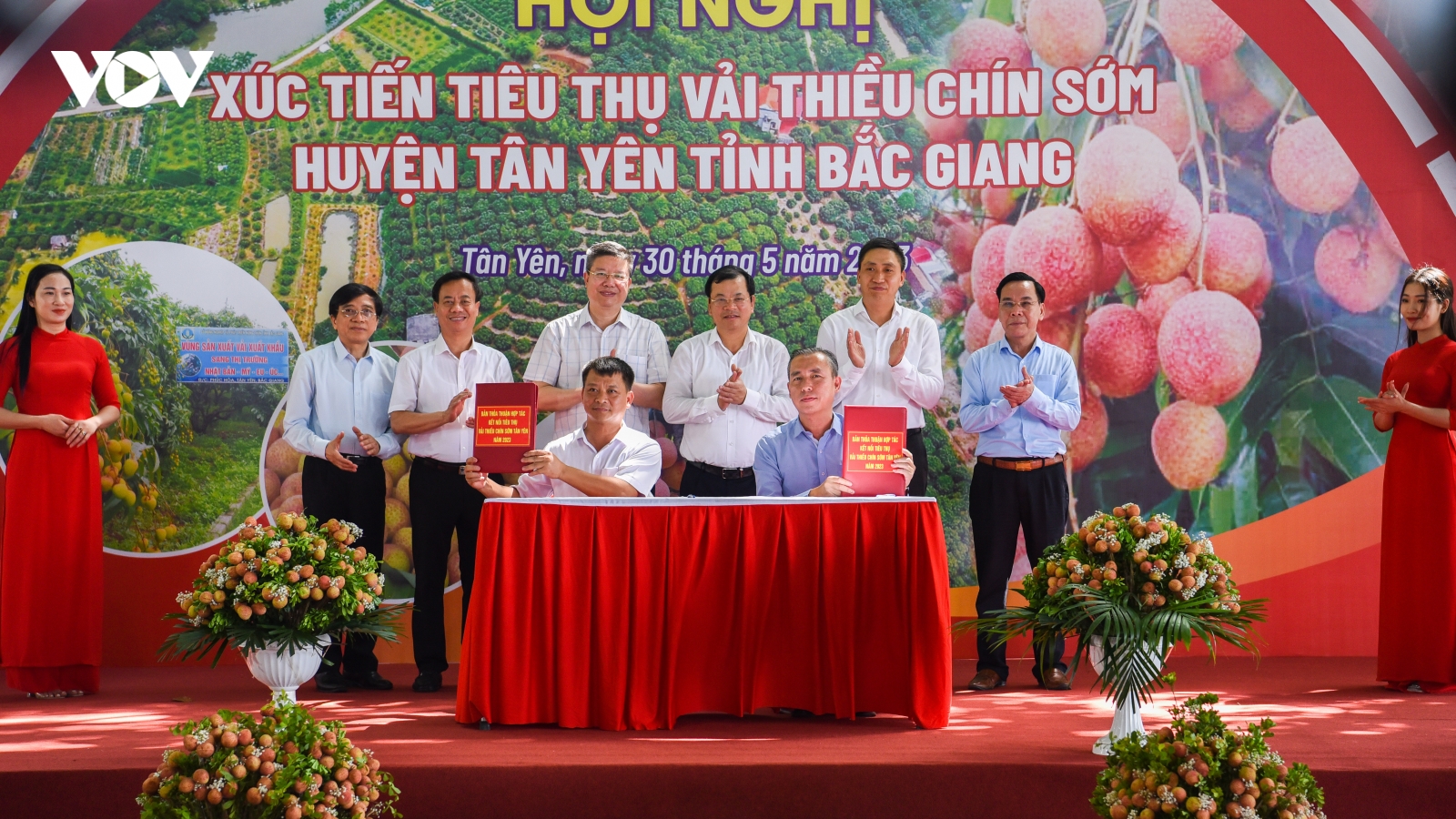 Thủ phủ vải thiều sớm Bắc Giang đẩy mạnh xuất khẩu