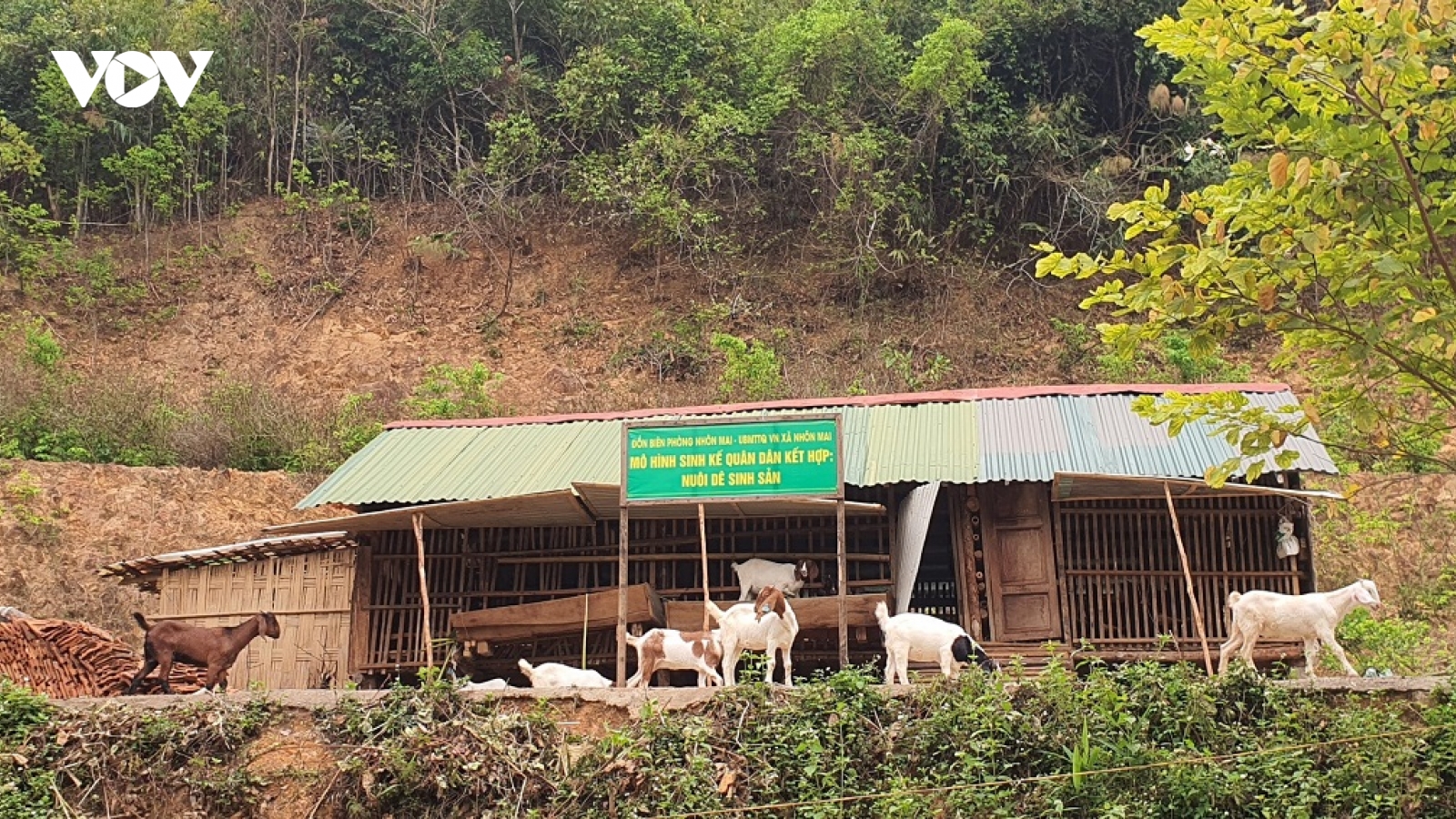 Mô hình 50/50 phát triển kinh tế ở biên giới Nghệ An