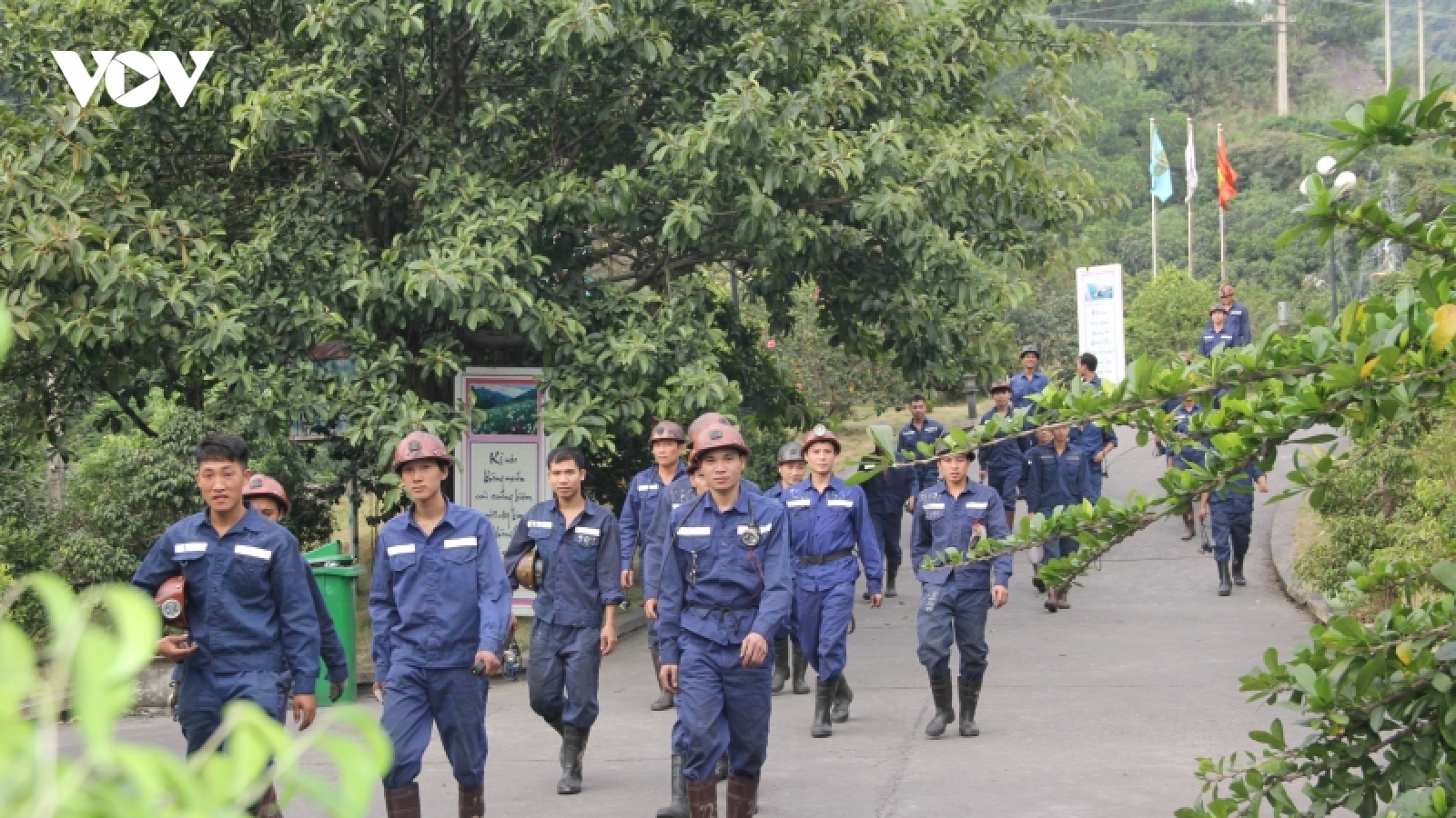 Ngành than đảm bảo cung ứng đủ than cho các nhà máy nhiệt điện
