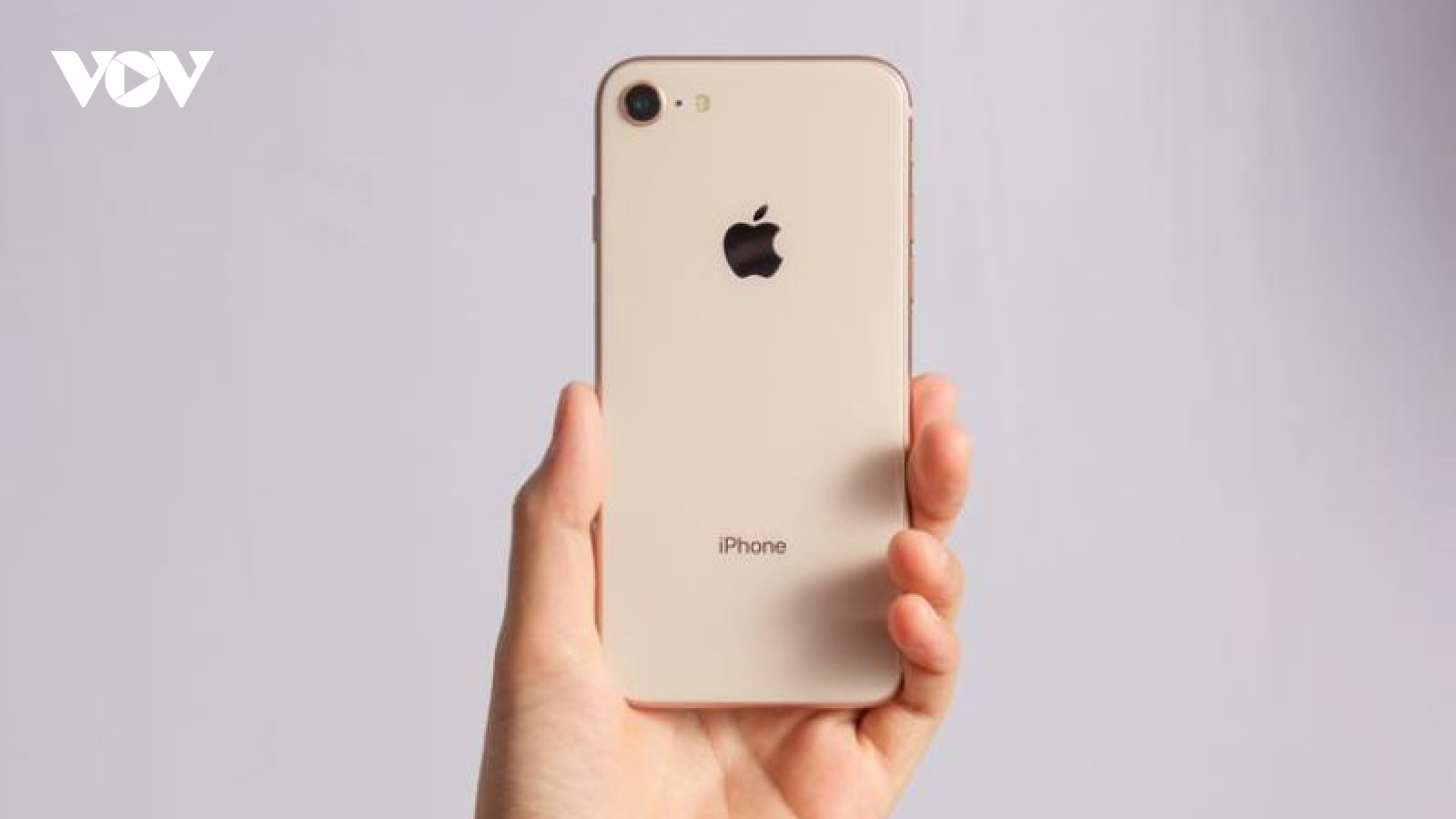 iPhone 8, 8 Plus và X có thể mất hơn 40% giá trị