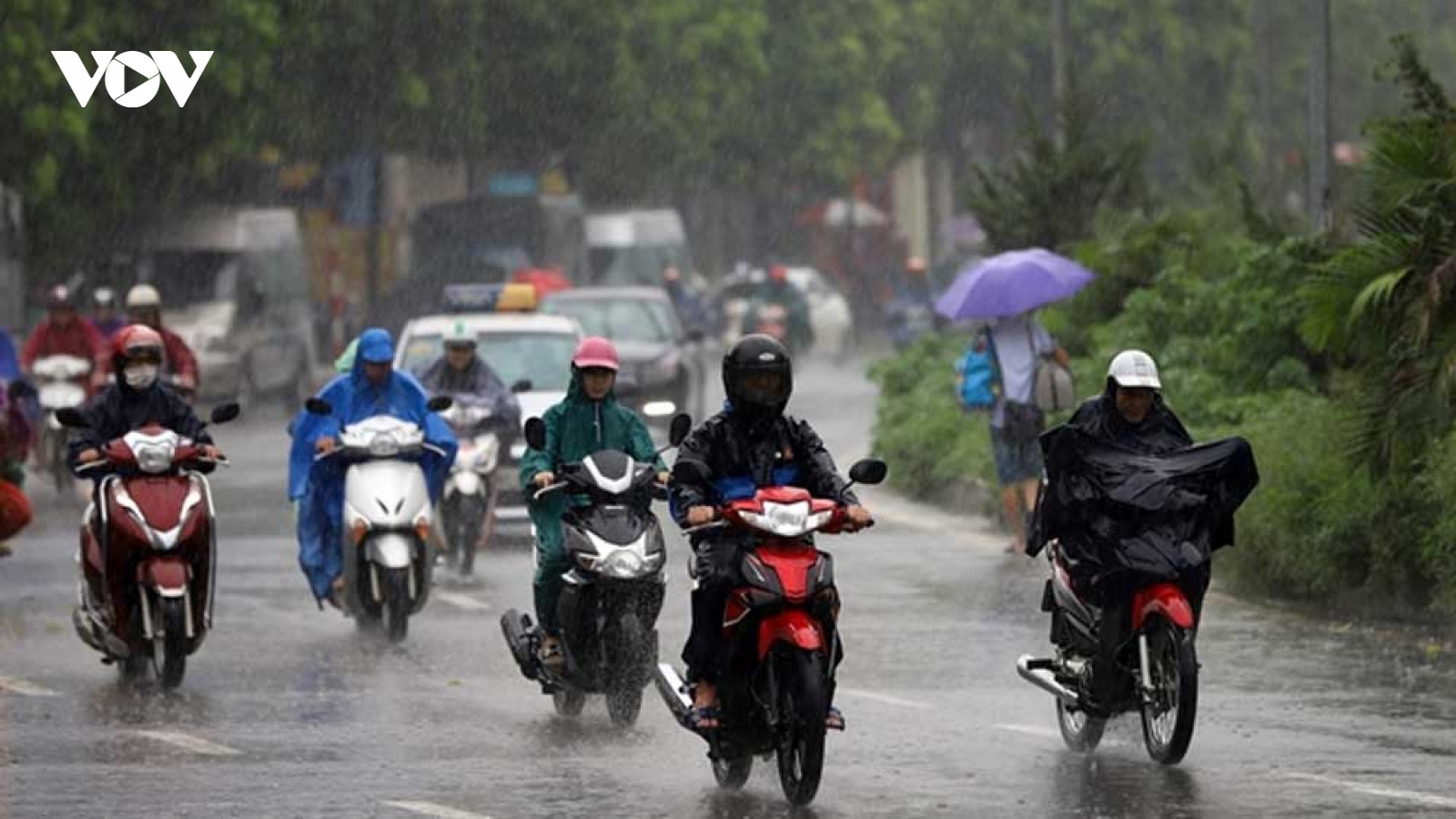 Thời tiết ngày 12/6: Nhiều tỉnh, thành chiều tối có mưa dông