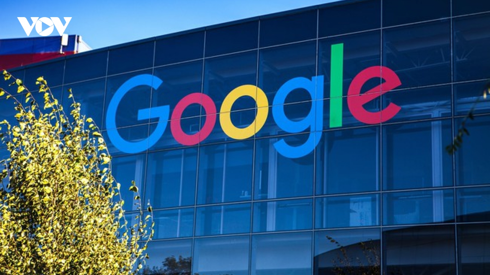 Cần những gì để có thể làm việc tại Google?