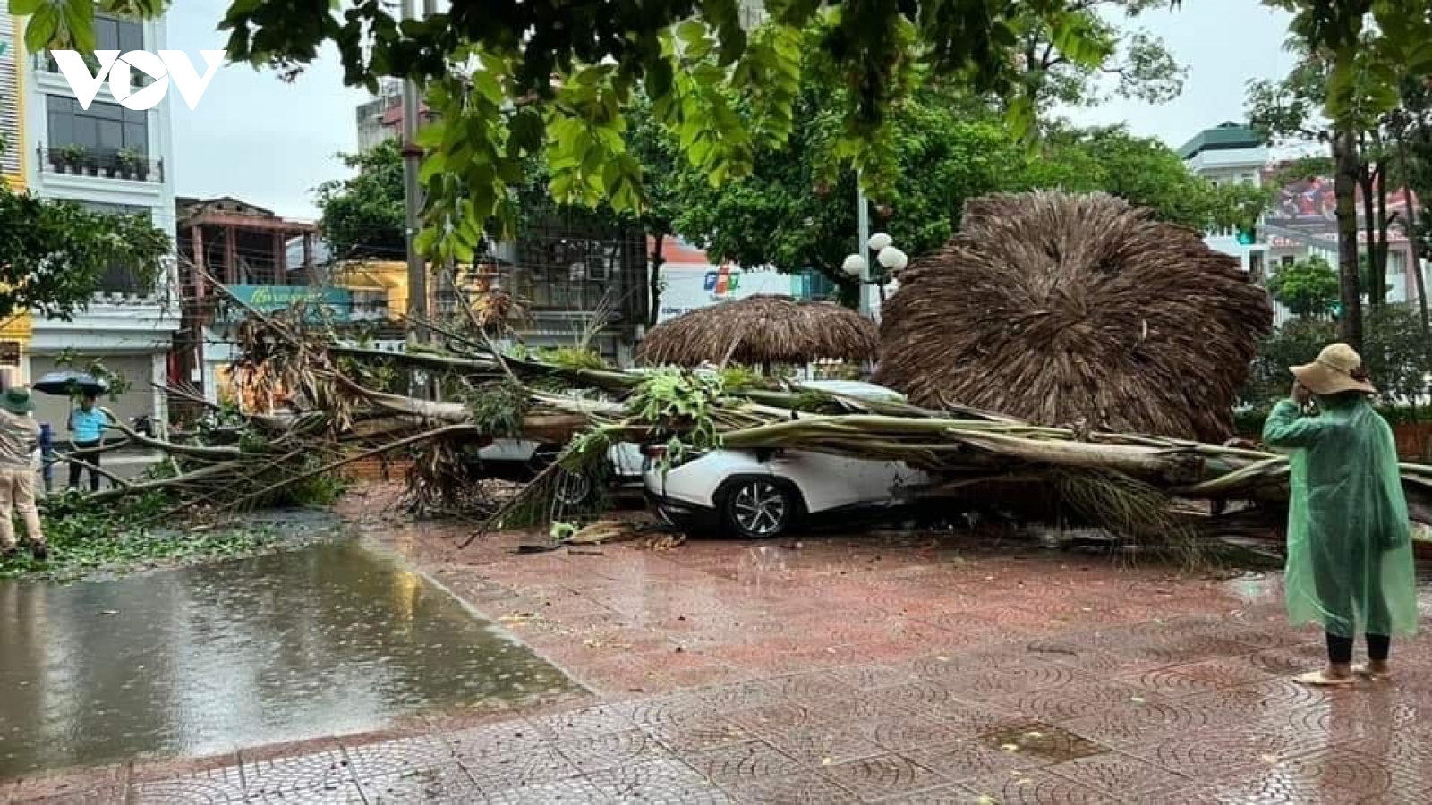 Cây xanh bật gốc, gãy đổ đè trúng ô tô sau trận mưa dông