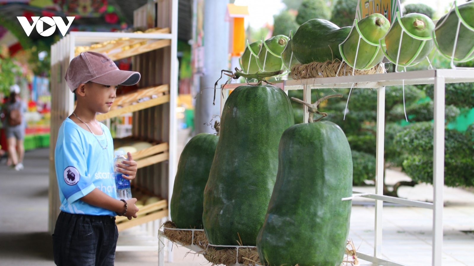 Ho Chi Minh City hosts southern fruit festival