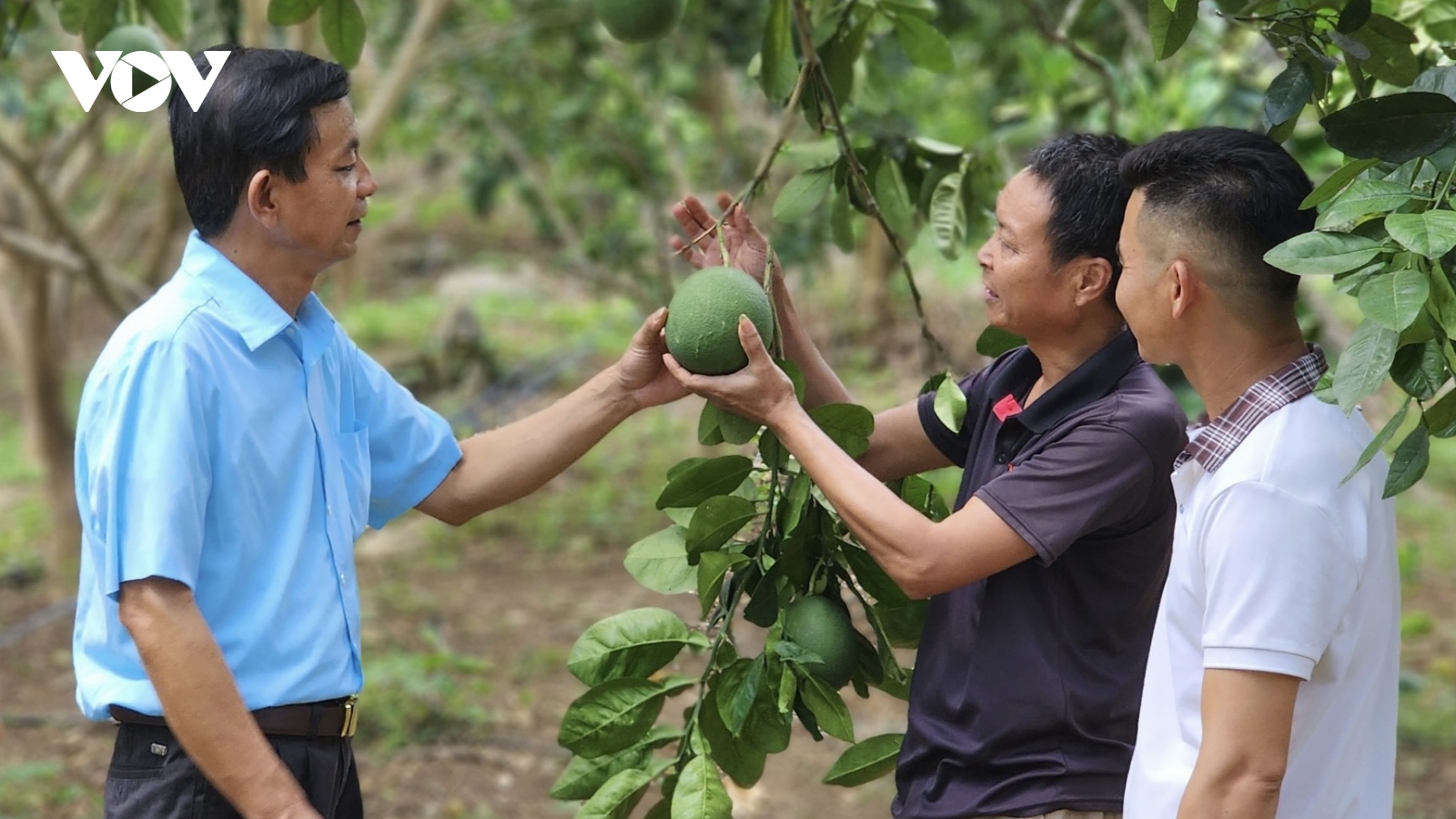 Huyện Mai Sơn: 12 chủ trương đổi thay một vùng quê