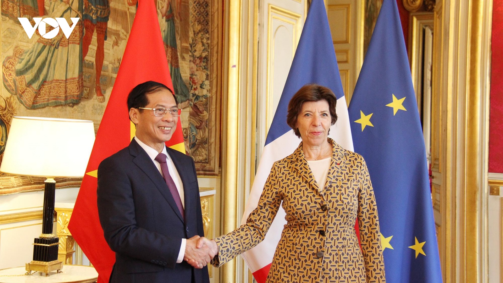 Bộ trưởng Ngoại giao Bùi Thanh Sơn hội đàm với Bộ trưởng châu Âu và Ngoại giao Pháp