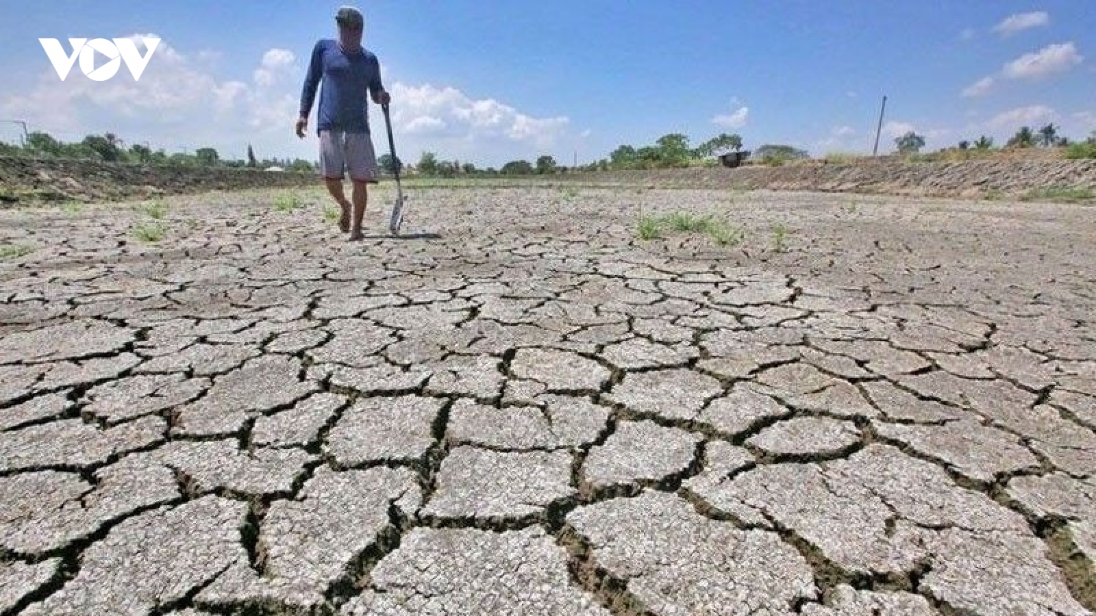 Thái Lan cảnh báo El Nino kéo dài tới năm 2027, Indonesia đẩy mạnh tích trữ gạo