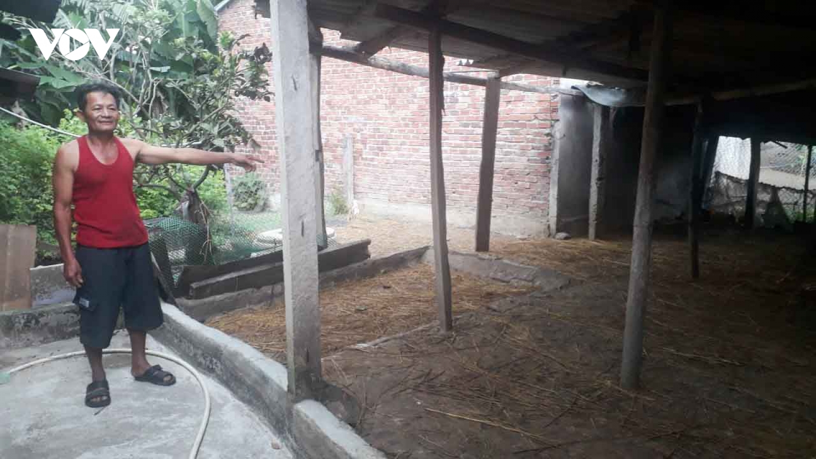 Xuất hiện nhiều ổ dịch cúm gia cầm ở Quảng Ngãi