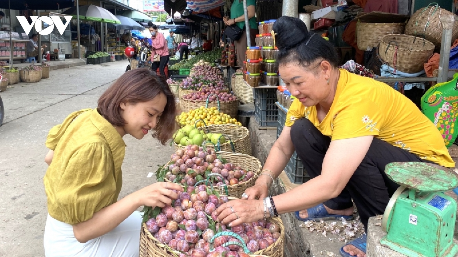 Hoa quả Sơn La rộn ràng xuống phố