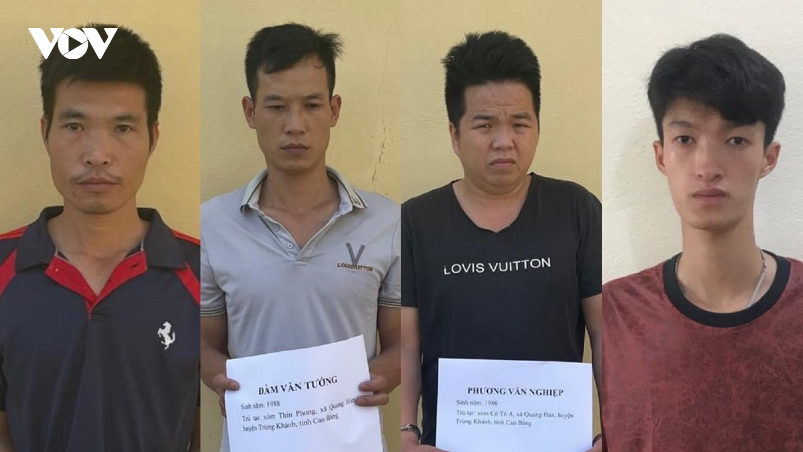 Khởi tố nhóm đối tượng vận chuyển, buôn lậu gia súc qua biên giới