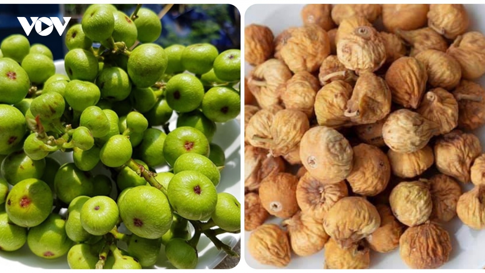 Tác dụng của quả sung khô