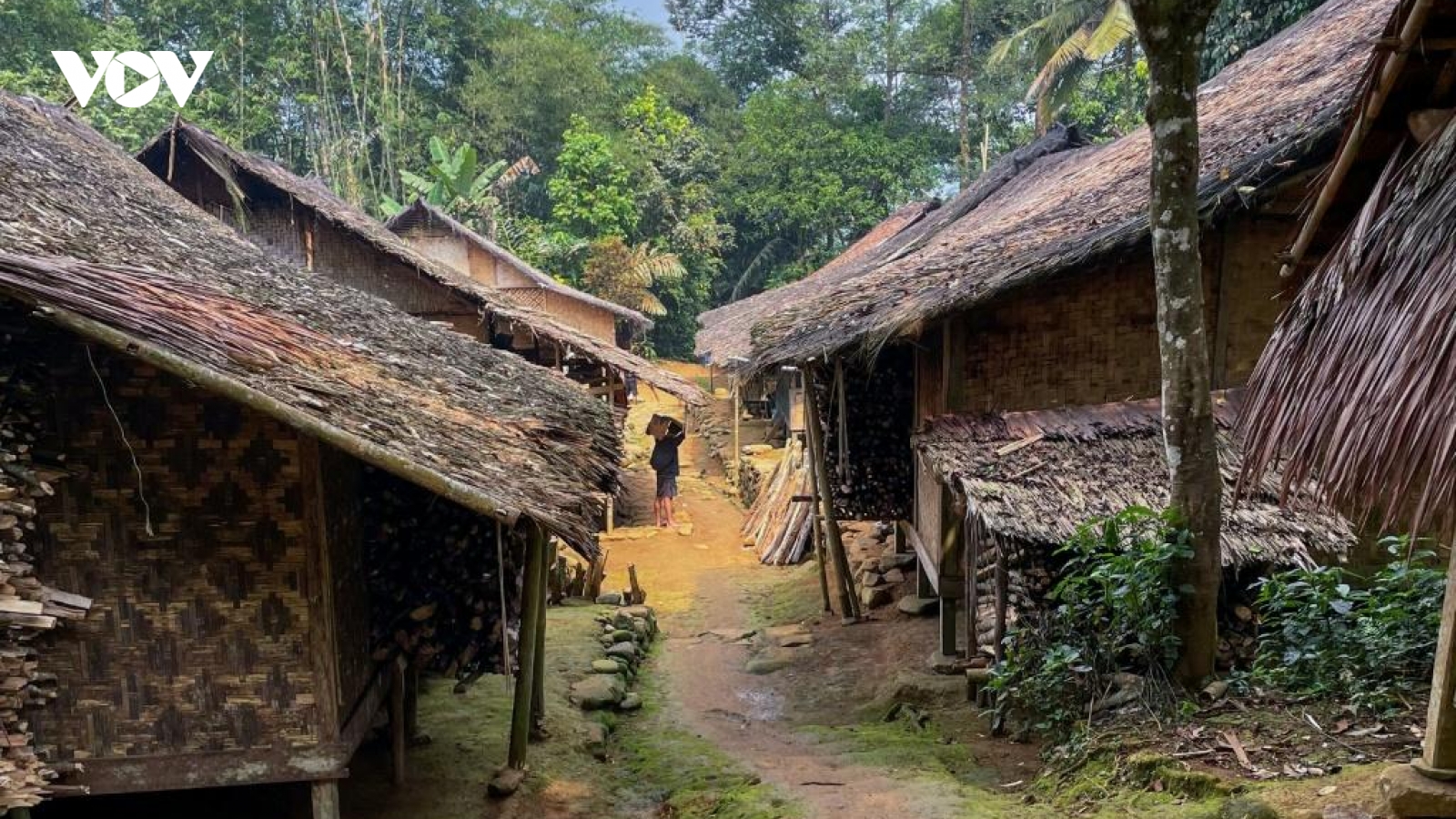 Dân bản địa Baduy Indonesia yêu cầu cắt internet để giữ nếp sống truyền thống