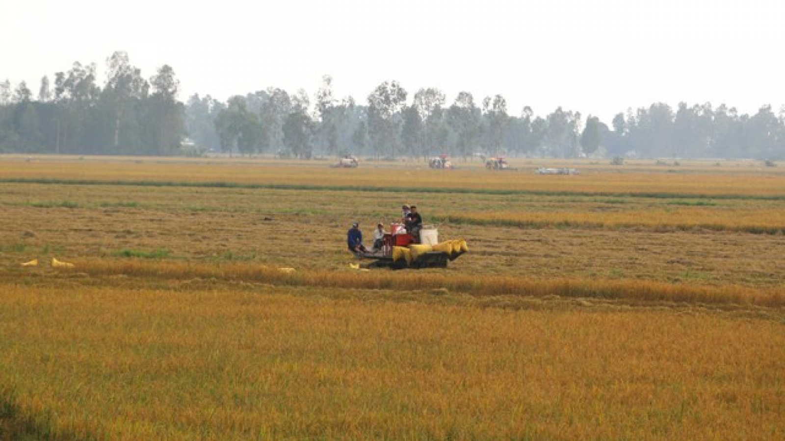 Chấp thuận chuyển mục đích sử dụng đất tại tỉnh Long An