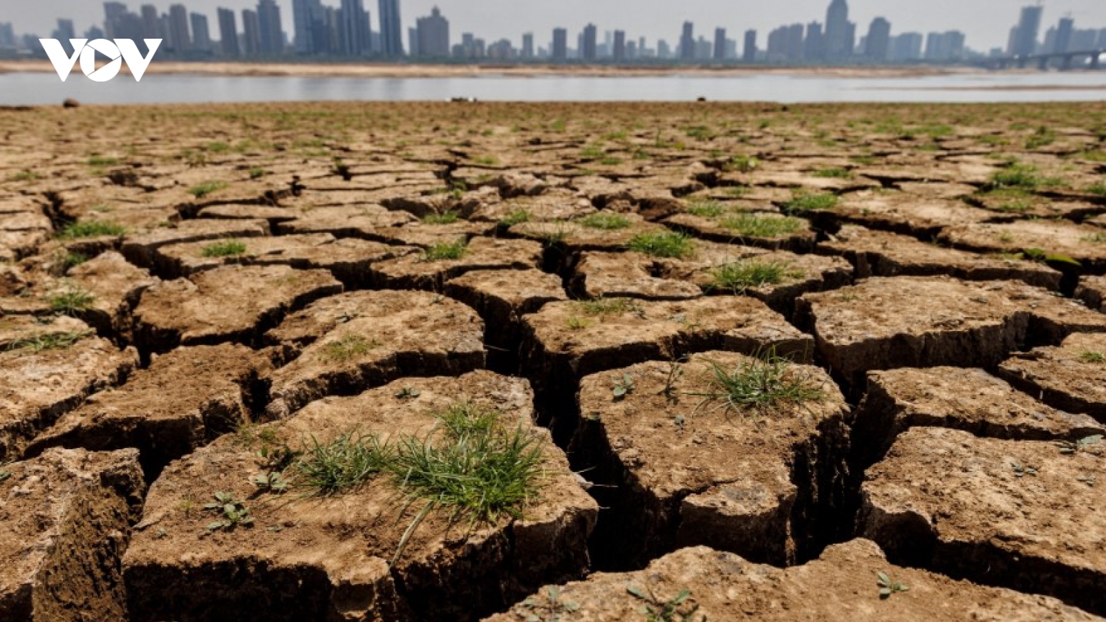 El Nino có thể khiến kinh tế thế giới "bay hơi" hàng nghìn tỷ USD