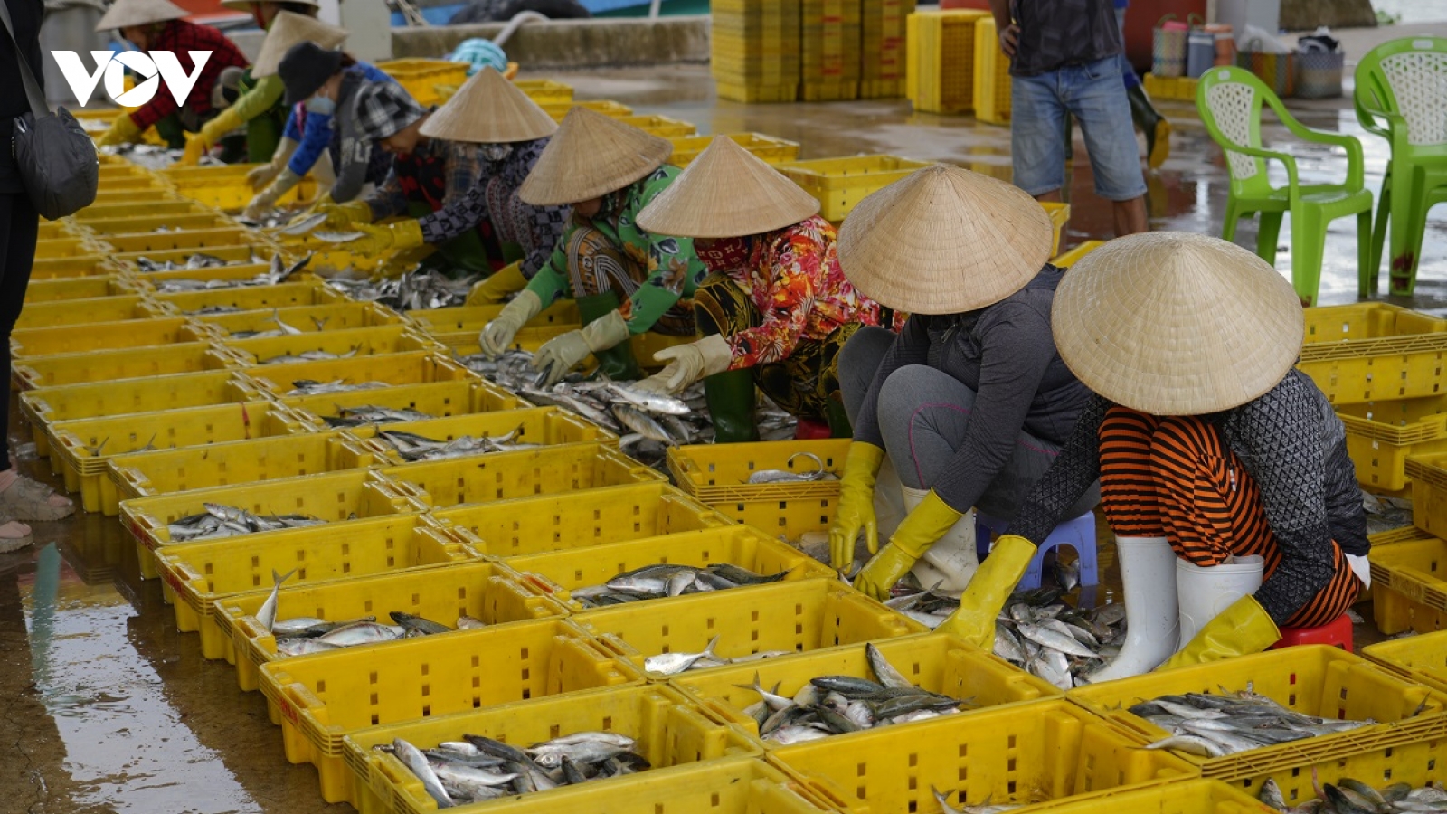 Phó Thủ tướng Trần Lưu Quang kiểm tra tình hình thực hiện chống IUU tại Kiên Giang