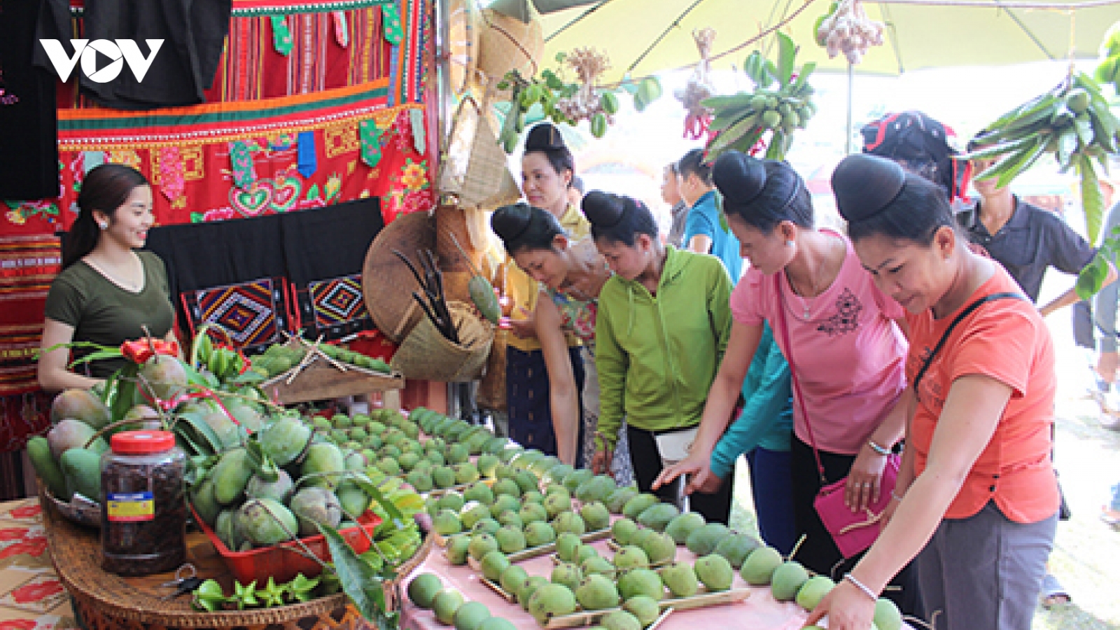 Ngày hội xoài Yên Châu: Cơ hội hợp tác, đầu tư phát triển du lịch