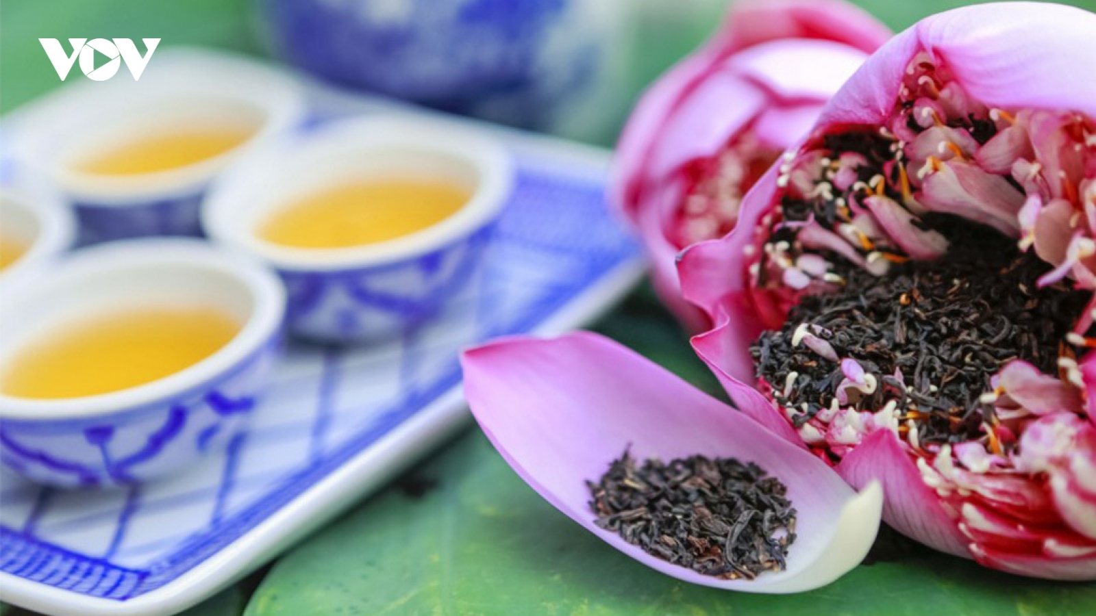 Nghệ thuật ướp trà sen – nét đẹp văn hóa của người Hà Nội
