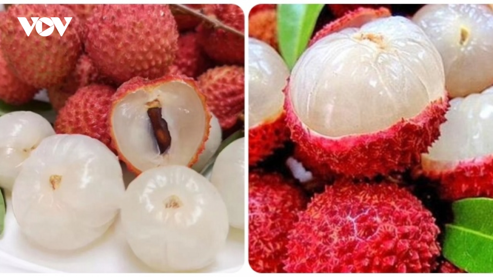 Bài thuốc chữa bệnh từ quả vải hiệu quả