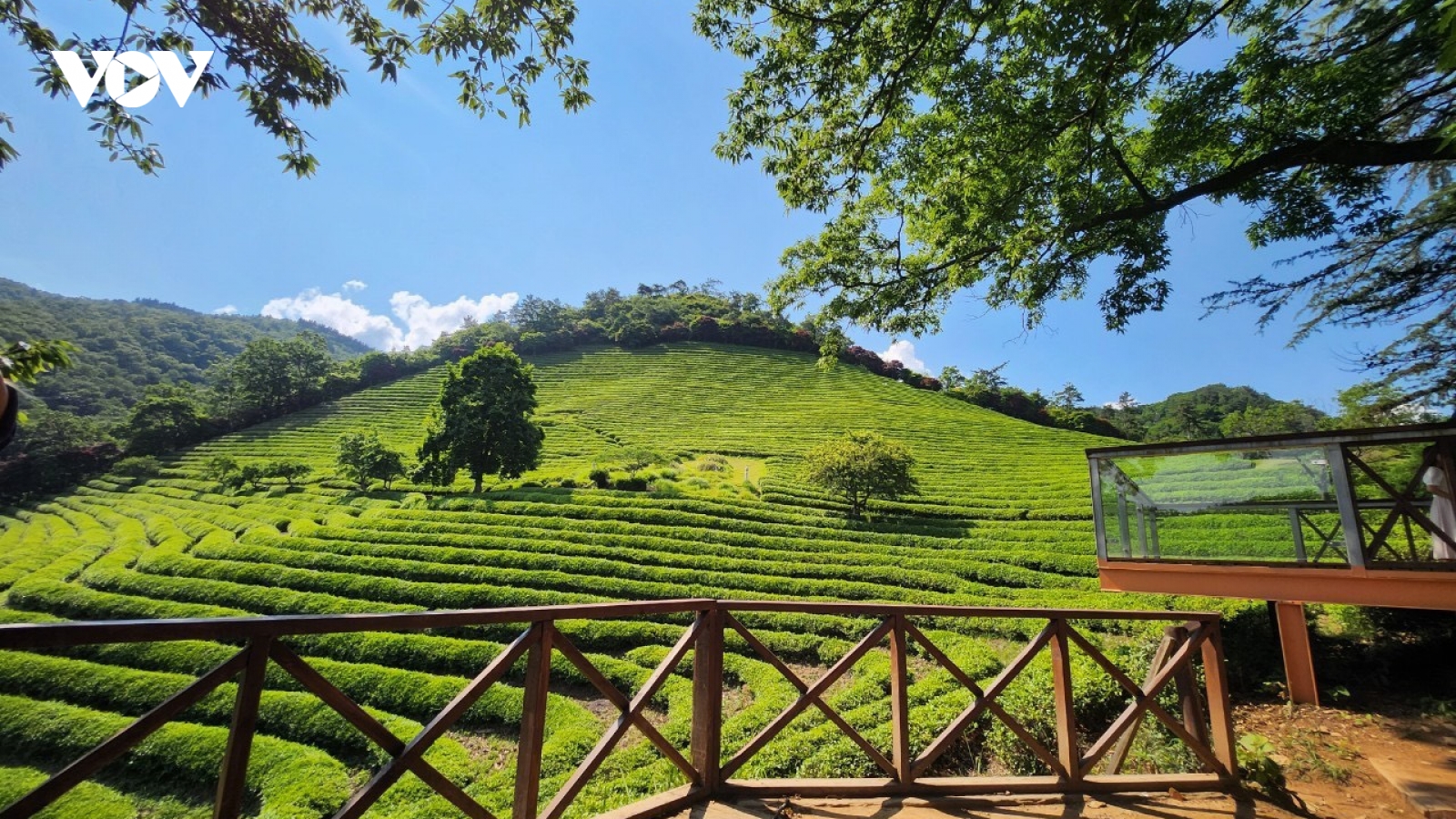 Mở tour du lịch Hàn Quốc miễn visa, khởi hành từ Đà Lạt