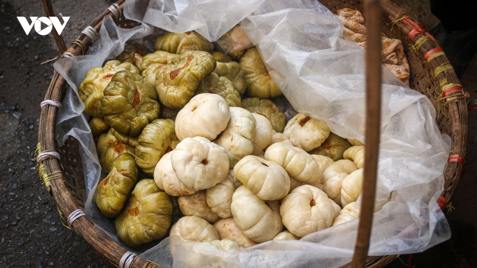 Cà “siêu to khổng lồ” đắt khách, dân buôn liên tục báo “cháy” hàng