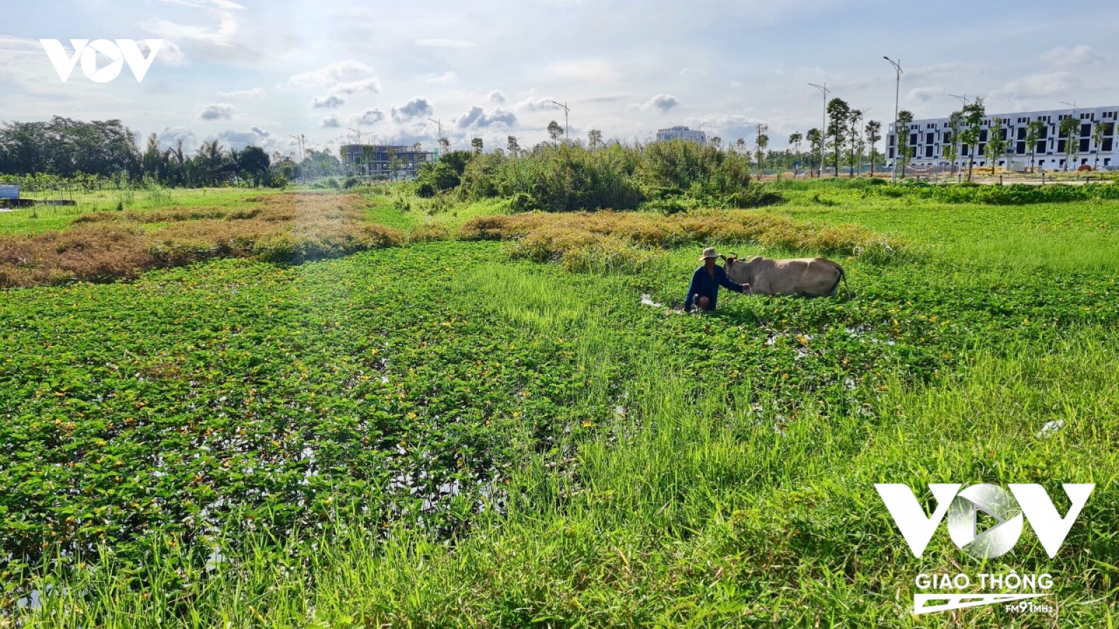 Hậu thu hồi đất, người dân phải được đảm bảo cuộc sống tốt hơn hoặc bằng nơi ở cũ