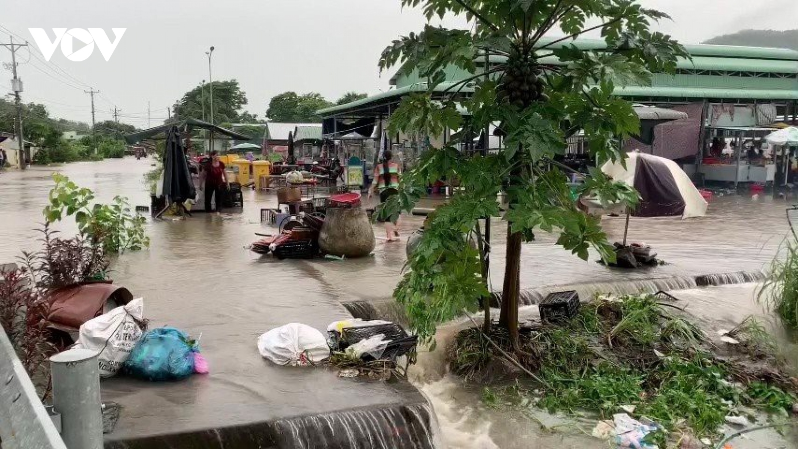 Mưa lũ gây thiệt hại nhiều nhà cửa và lúa ở An Giang