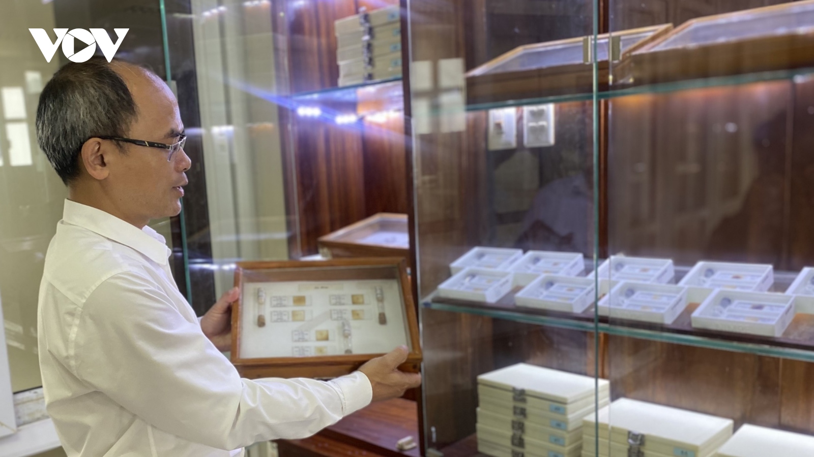 Bảo tàng côn trùng y học độc nhất ở Việt Nam
