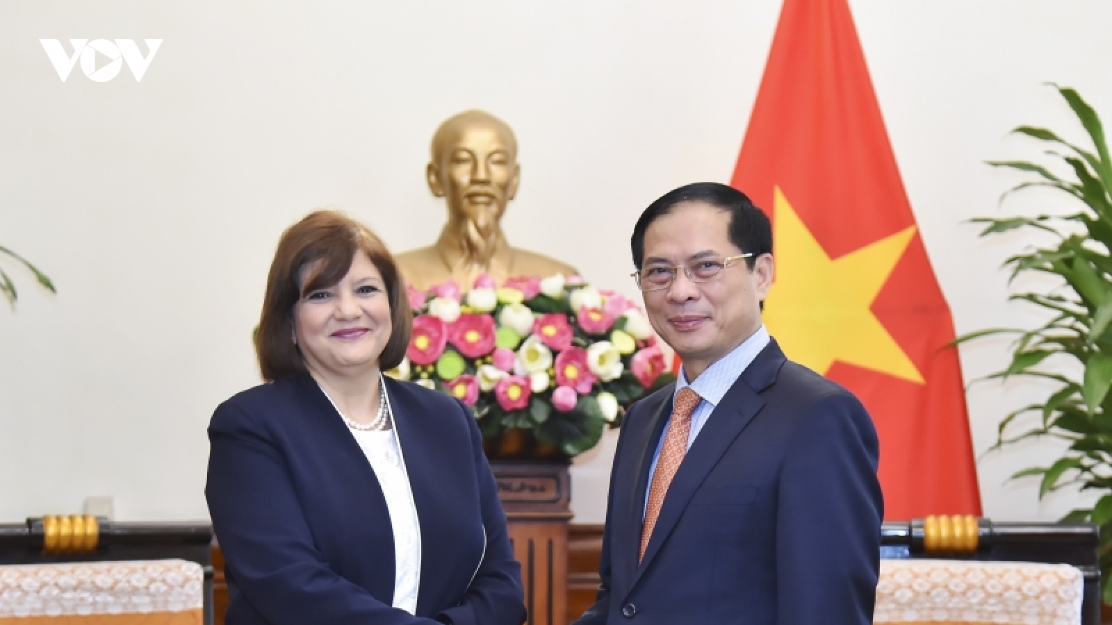 Bộ trưởng Ngoại giao Bùi Thanh Sơn tiếp Đại sứ Ai Cập tại Việt Nam