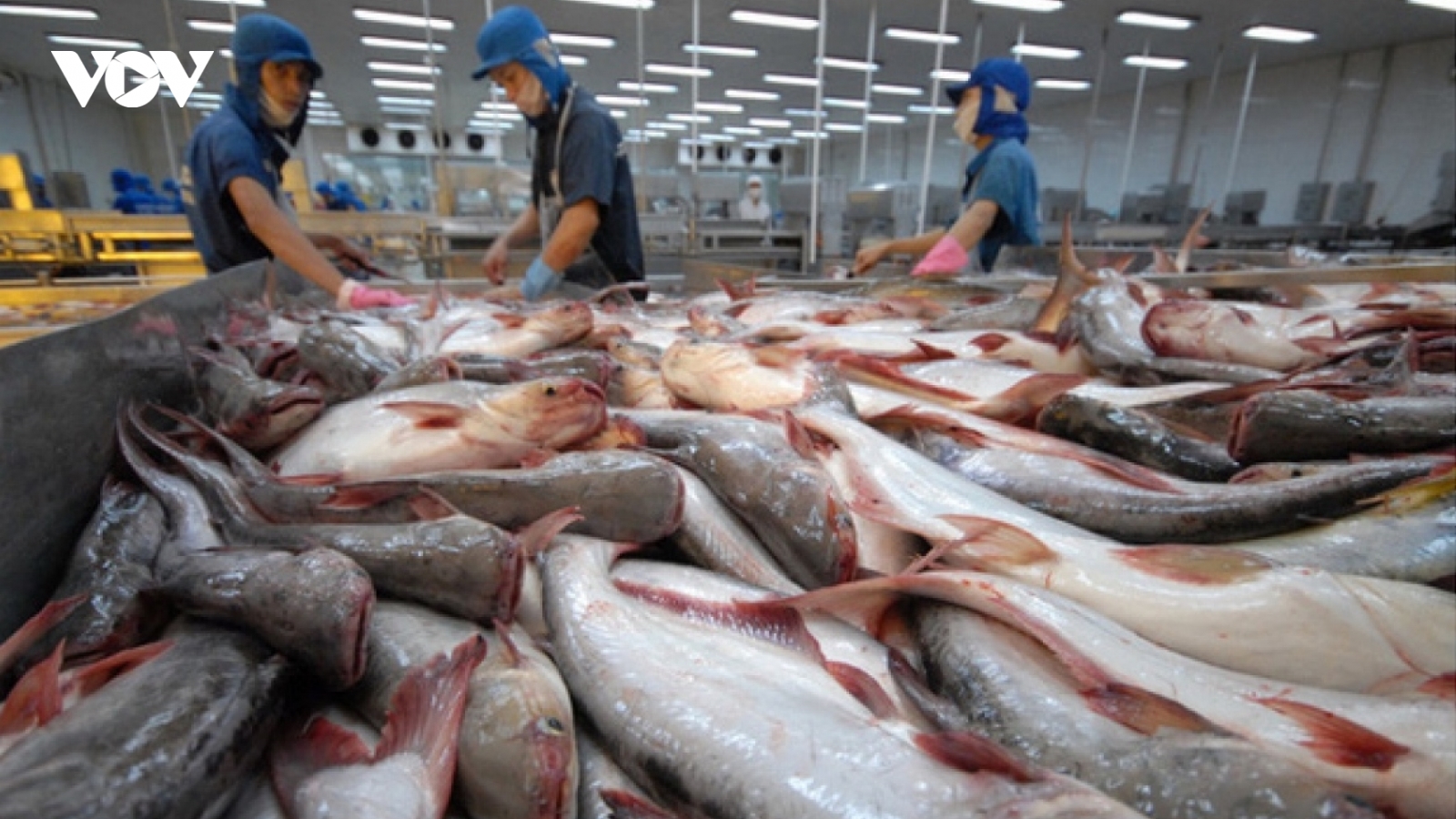 Phó Thủ tướng chỉ đạo xem xét gỡ khó cho doanh nghiệp thủy sản