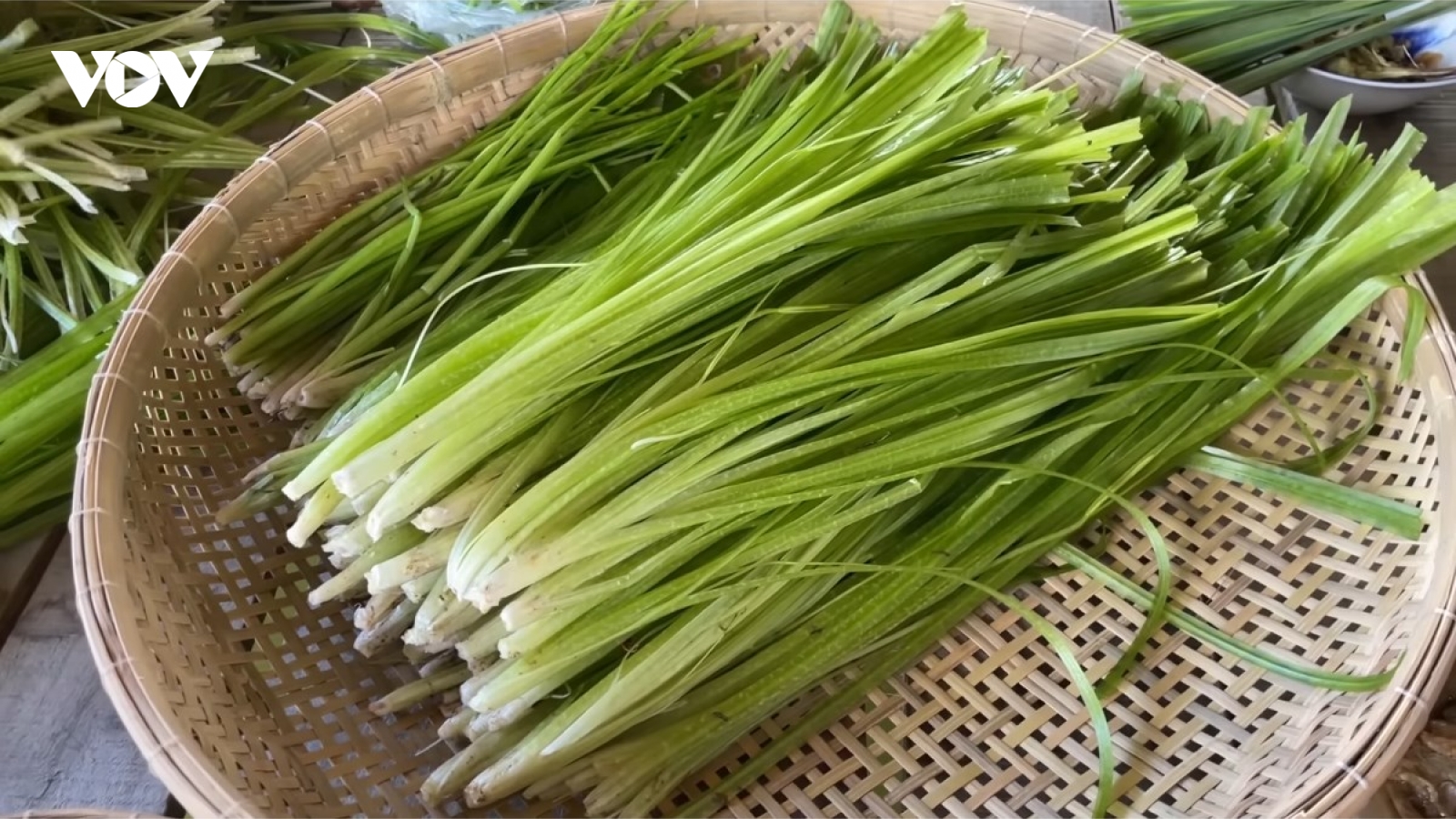 Cây thủy sinh mọc la liệt, nông dân nhổ lên bán đắt hàng
