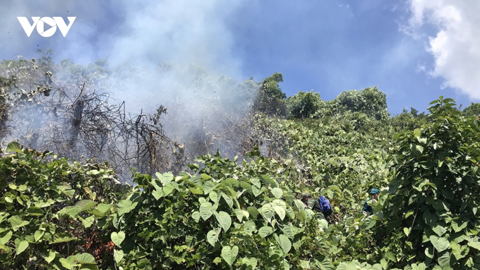 Huy động 150 người dập tắt đám cháy trên đèo Hải Vân