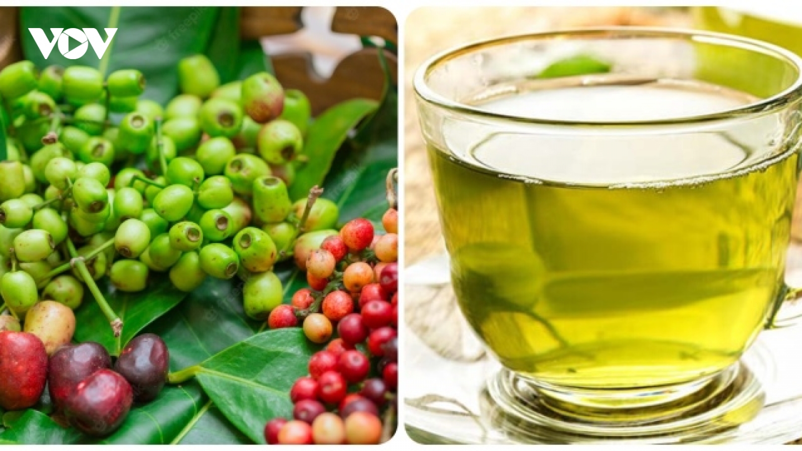 Nước vối có tác dụng gì?