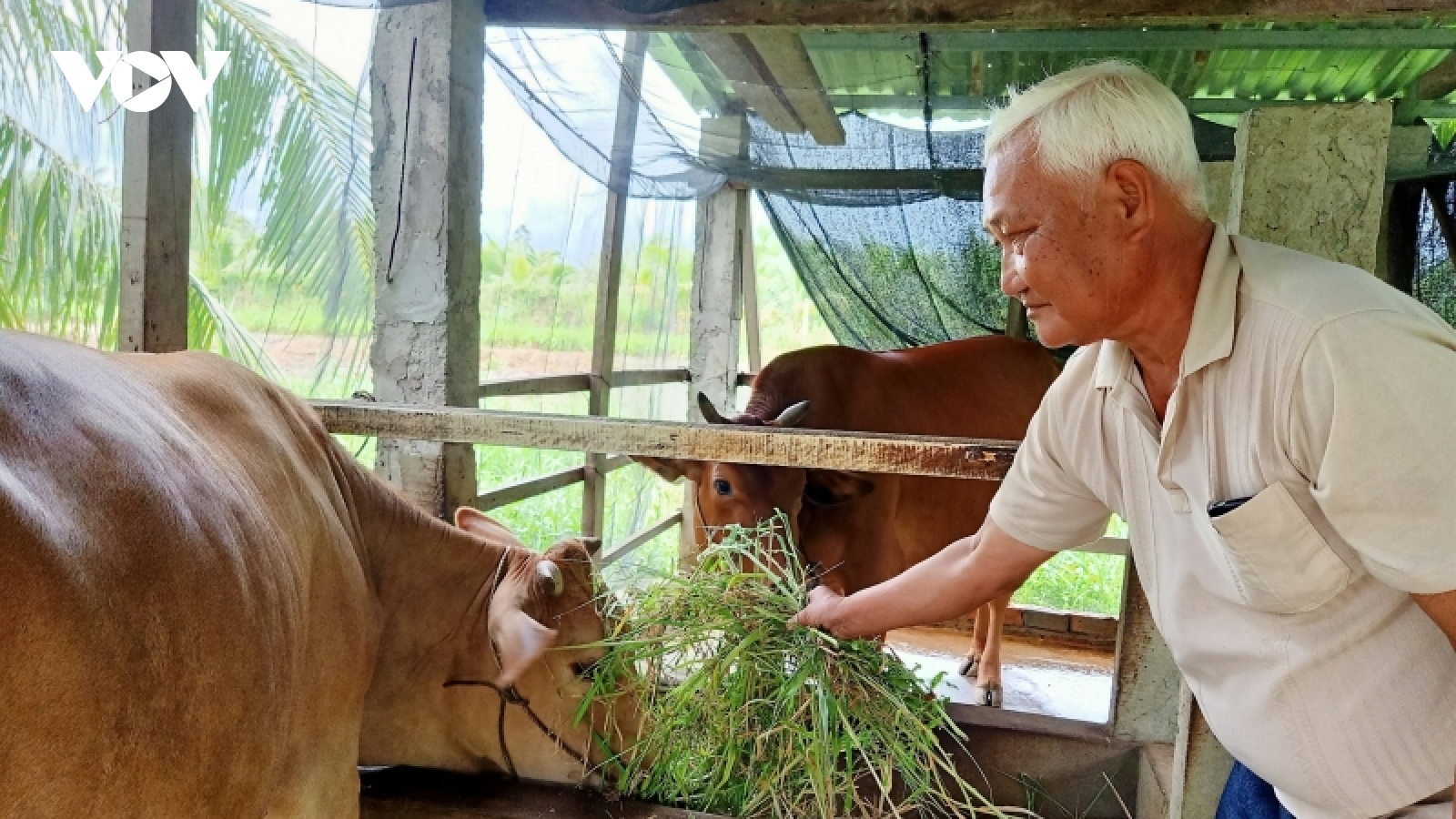 Những cựu chiến binh làm kinh tế giỏi trên quê hương Long Đức