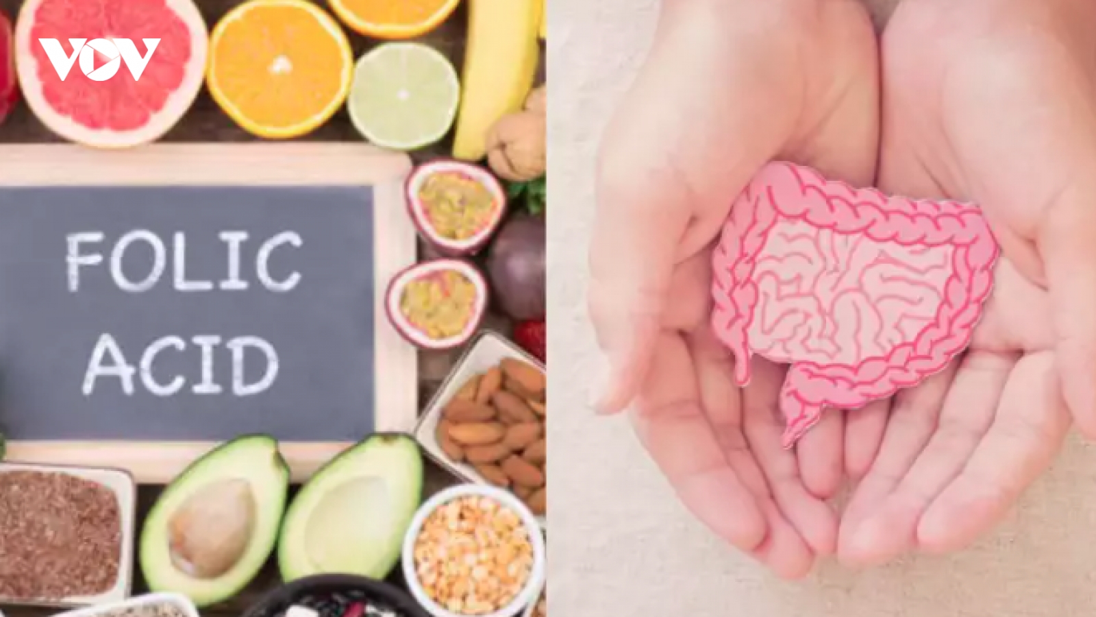 Thiếu Folate làm tăng nguy cơ ung thư ruột
