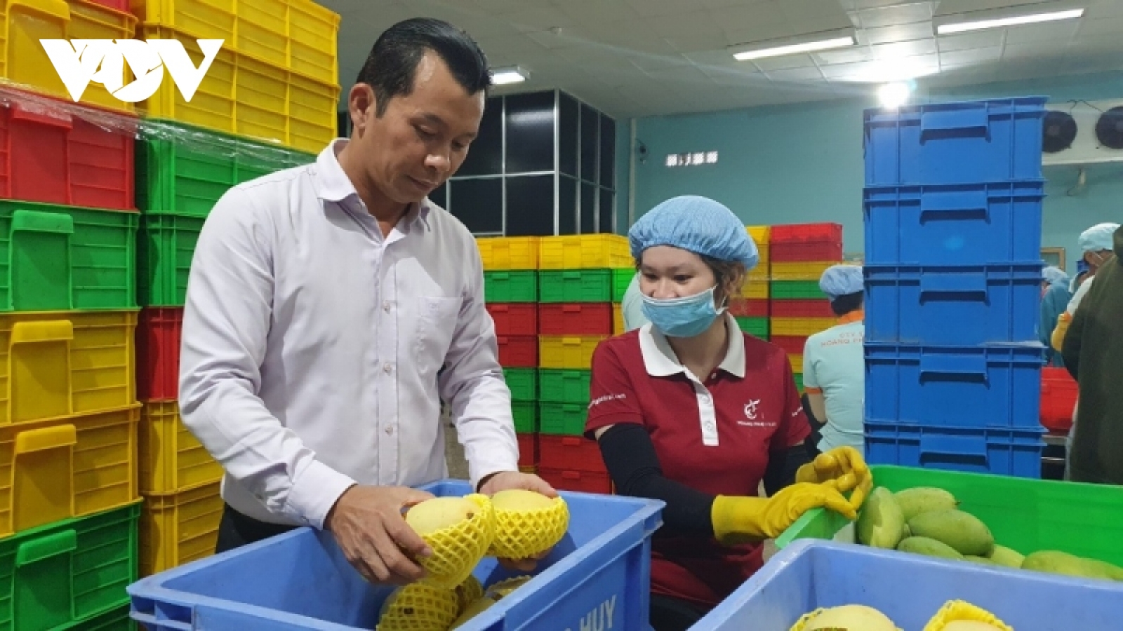 Siết chặt kiểm tra trái cây xuất khẩu sang Trung Quốc