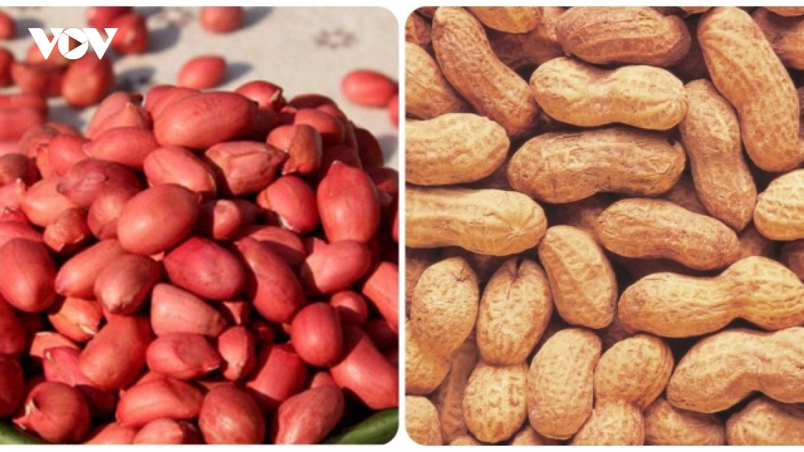 Loại hạt vừa rẻ lại bổ dưỡng, được mệnh danh là "hạt trường sinh"
