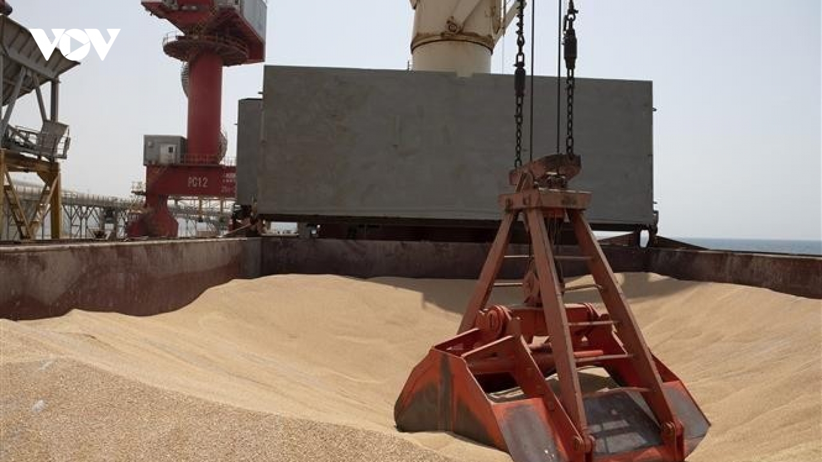Liên Hợp Quốc cắt viện trợ cho 8 triệu người Afghanistan vì thiếu ngân sách