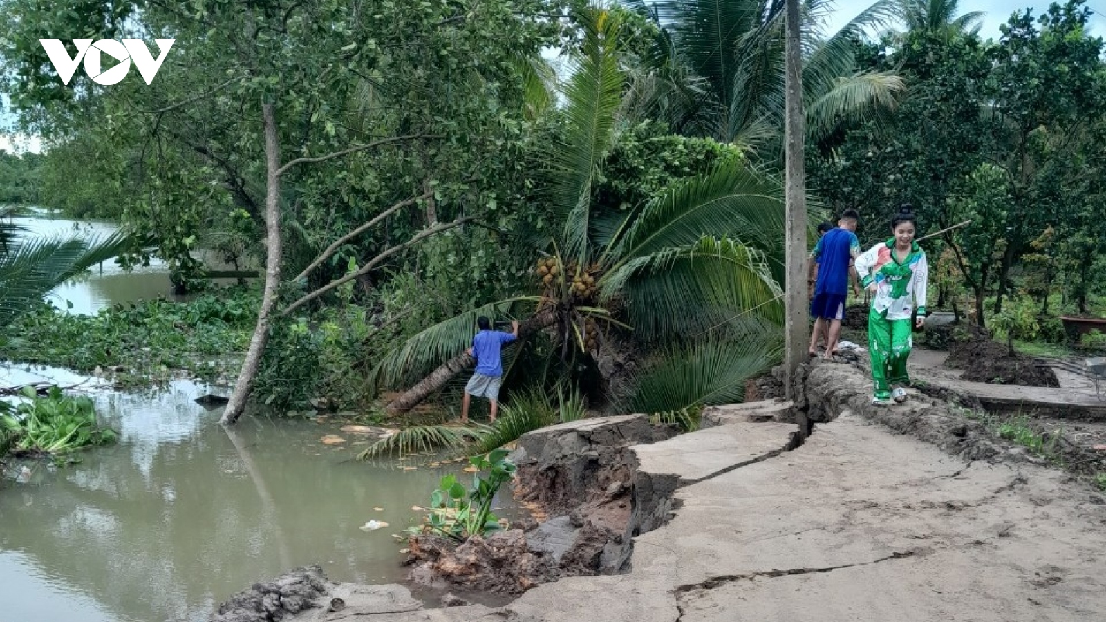 Xảy ra 5 điểm sạt lở ven sông Rạch Gầm (Tiền Giang)