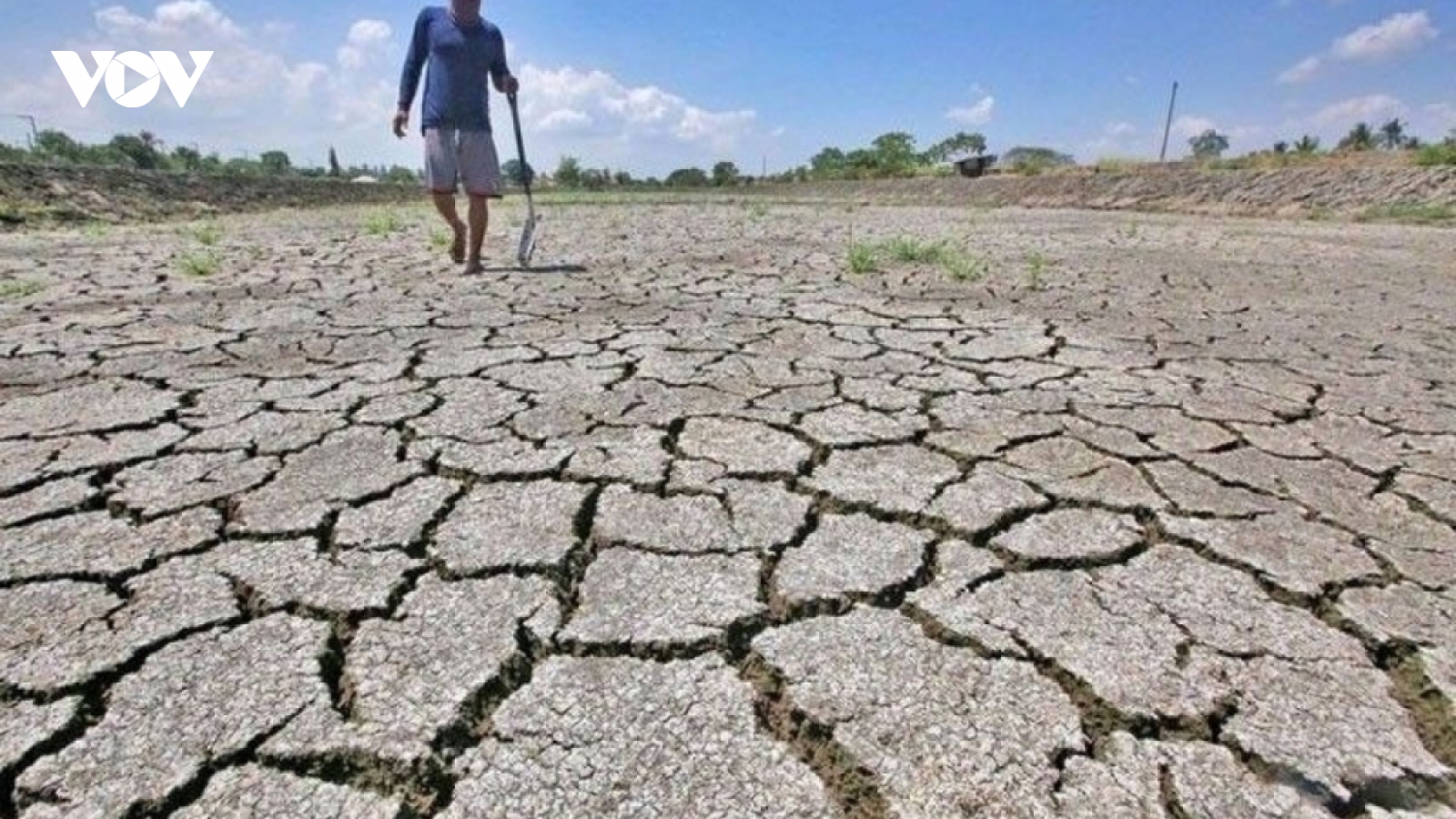 Đối phó El Nino, Indonesia thu mua dự trữ 750.000 tấn gạo