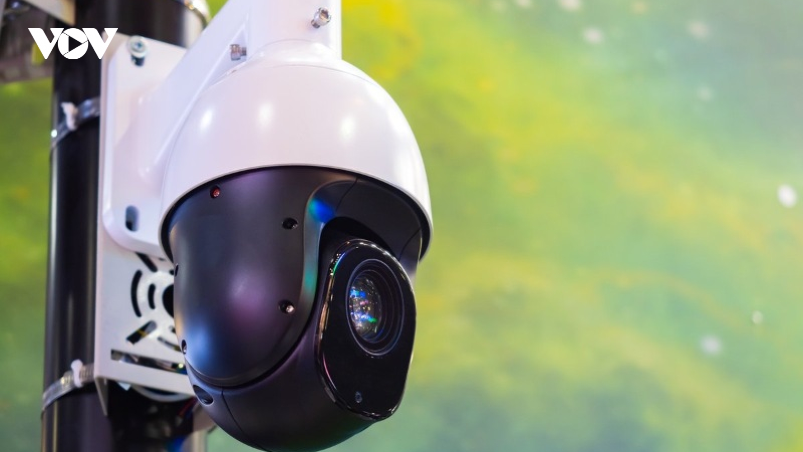 Camera giao thông AI phát hiện 300 tài xế vi phạm trong 3 ngày