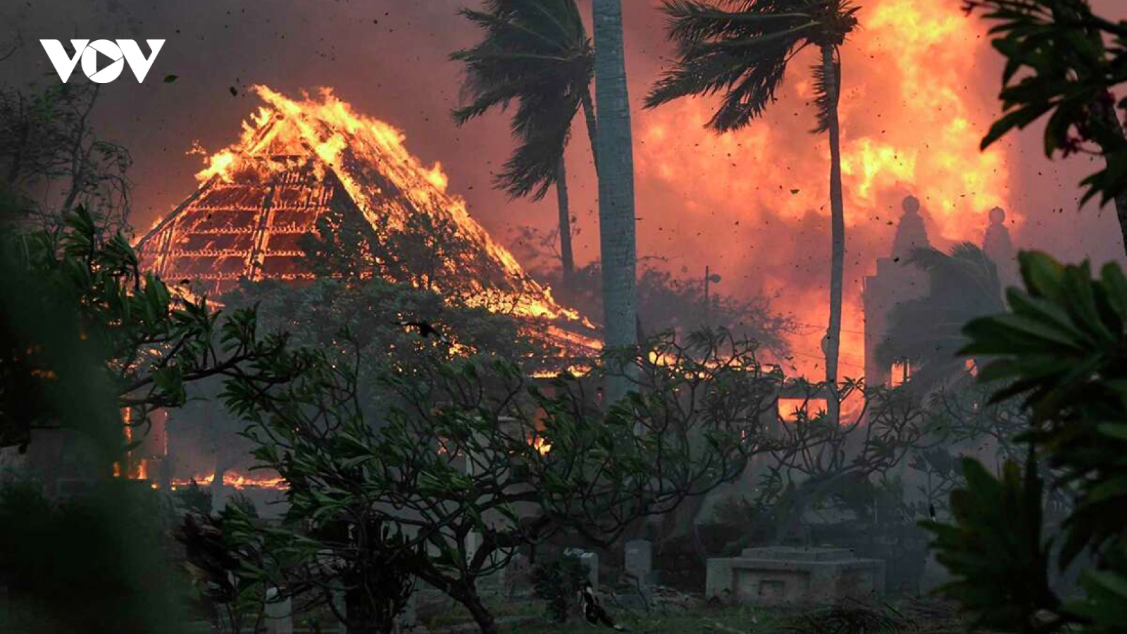 Lệnh sơ tán do cháy rừng ở Hawaii được dỡ bỏ, 388 người vẫn mất tích