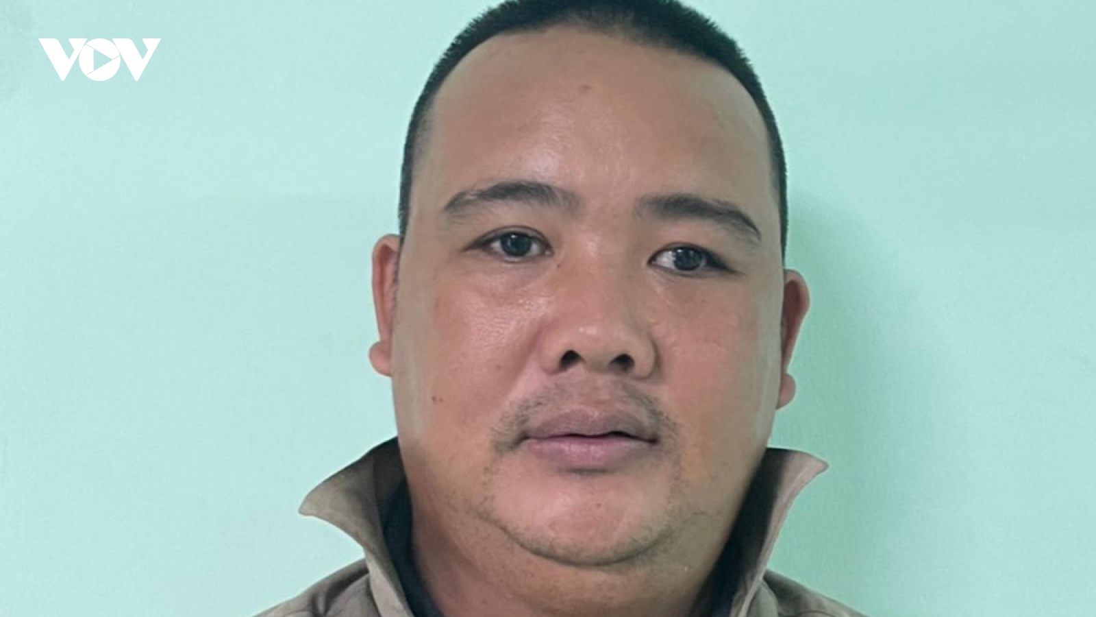 Tạm giữ nam thợ mộc cưa trộm 2 cây xanh đô thị ở Bình Dương