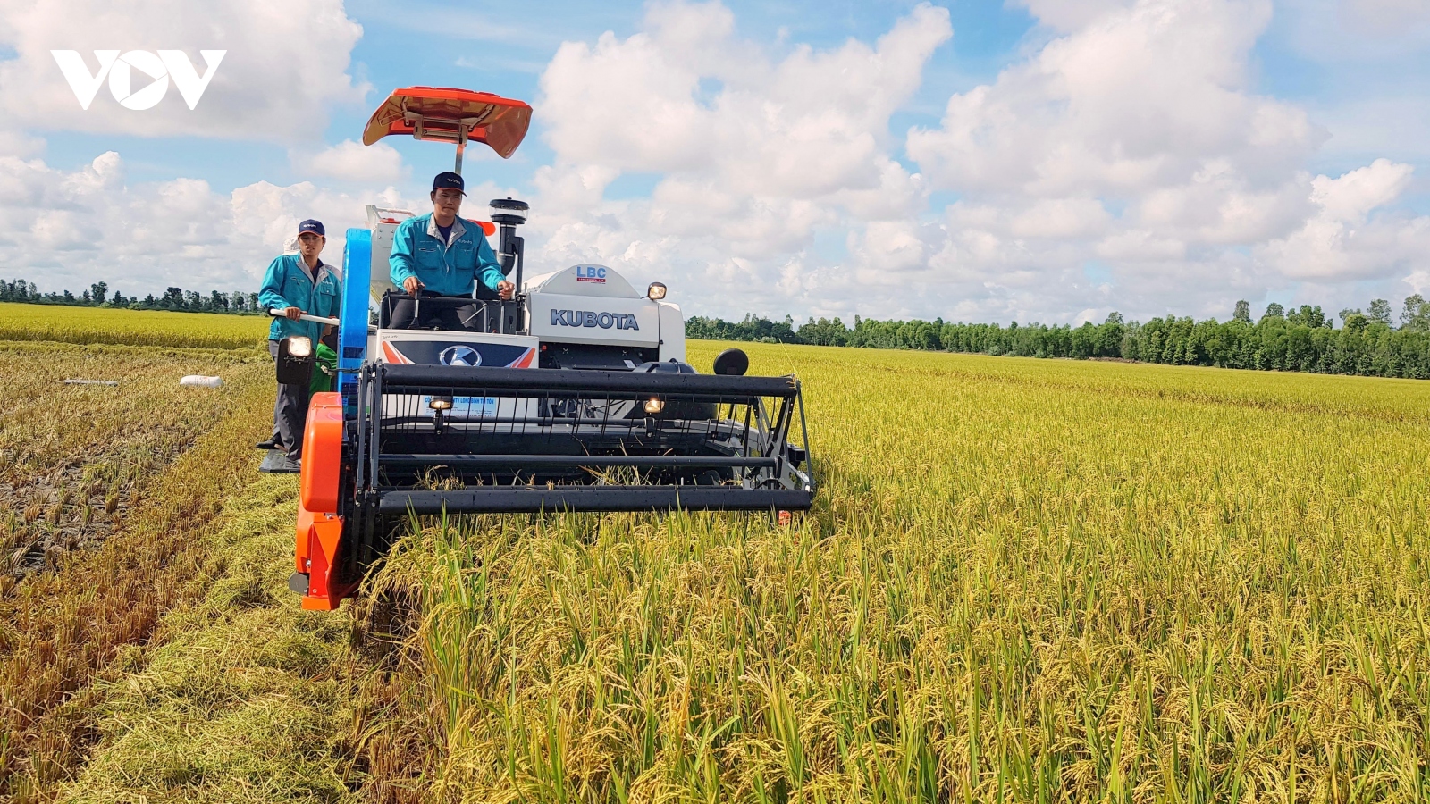 Quyết liệt triển khai công tác điều hành xuất khẩu gạo