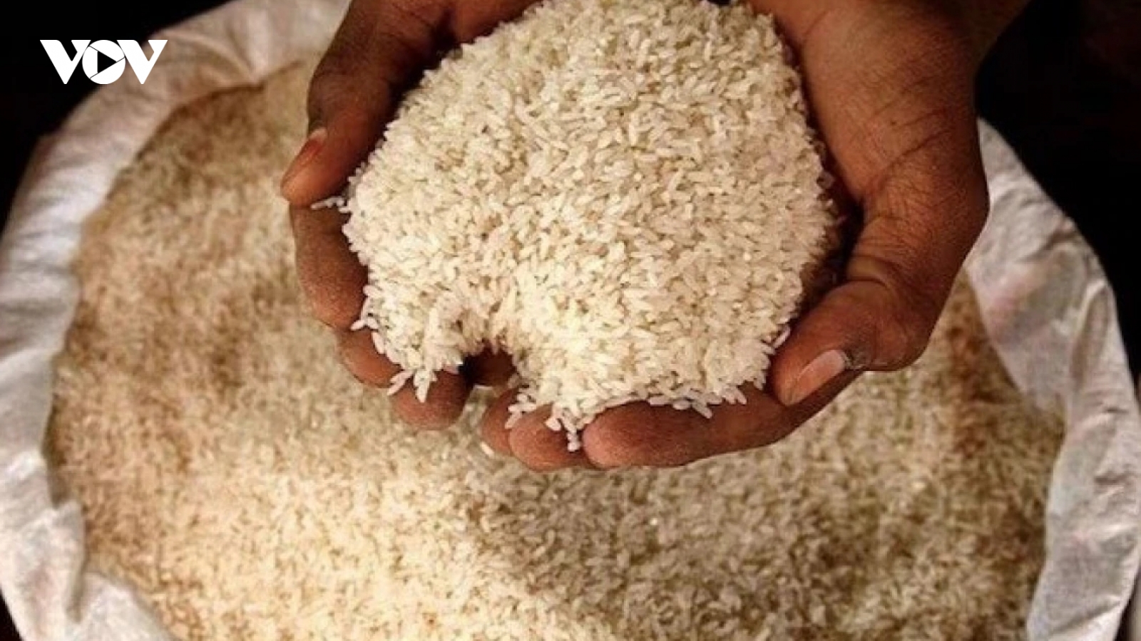 Tác động từ việc Ấn Độ và một số nước cấm xuất khẩu gạo