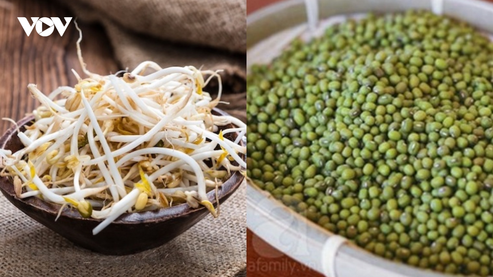 Nên ăn giá đỗ sống hay chần qua nước sôi?